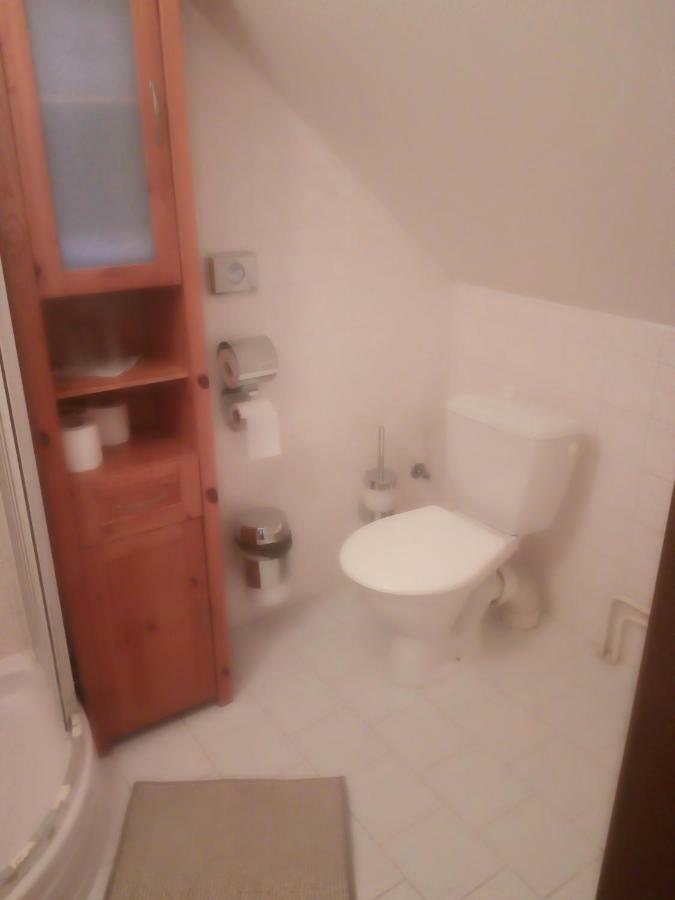 Penzion U Hradilu Vrbno pod Pradědem Buitenkant foto
